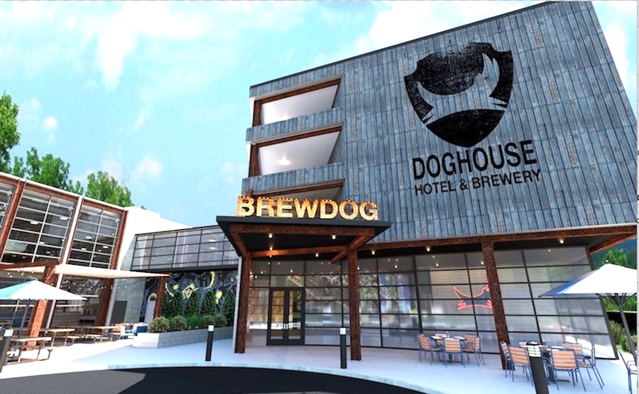 brewdog-2