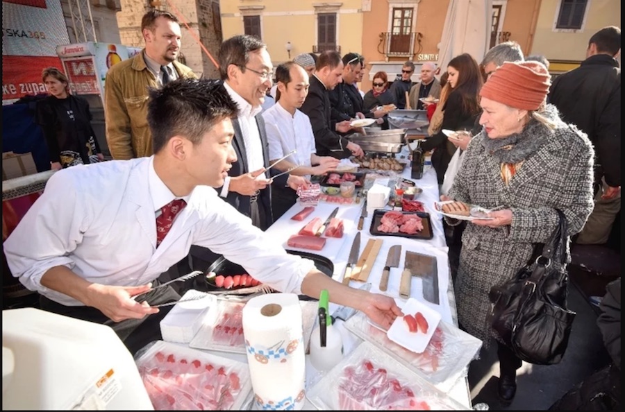 sushi-tuna-festival