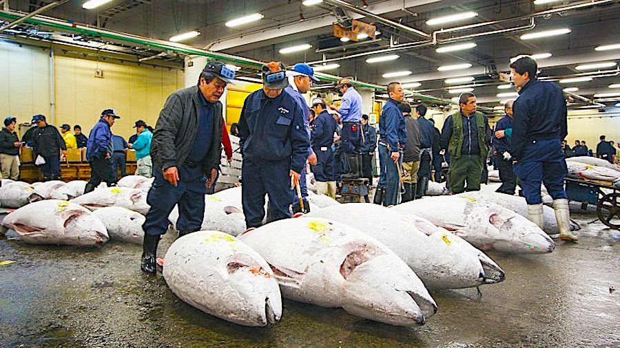 tsukiji