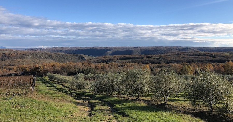 cattunar-hotel-vinogradi