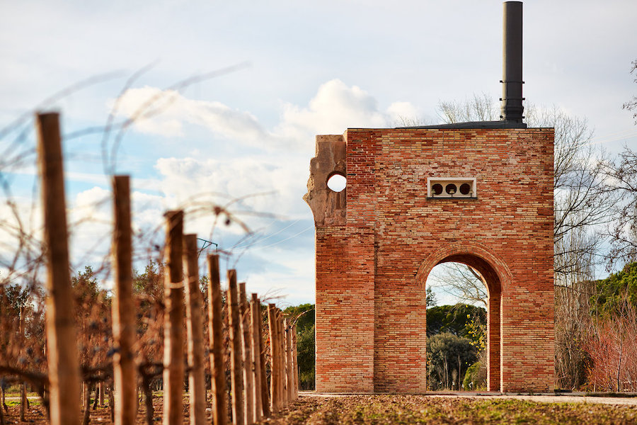 vega-sicilia-vinogradi