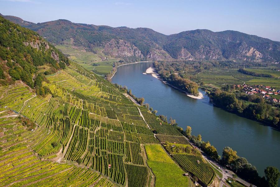 domane-wachau-vinogradi