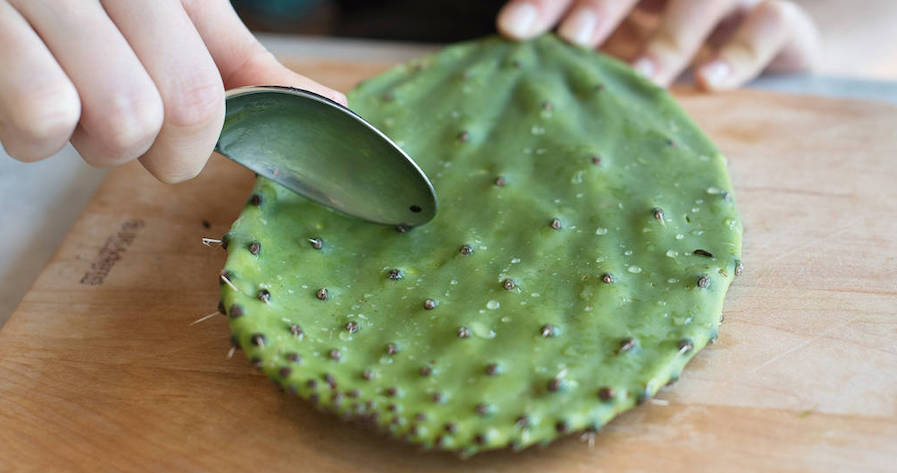 nopal