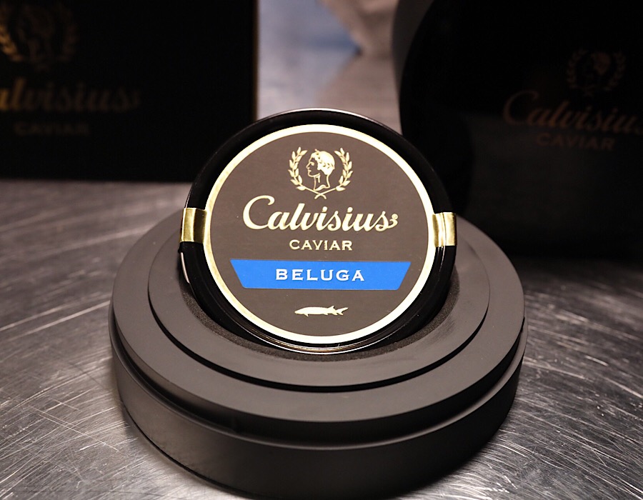 calvisius-beluga