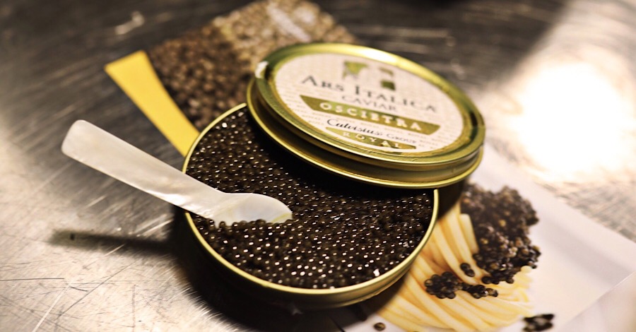 calvisius-oscietra