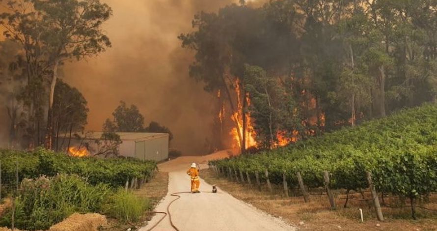 adelaide-hills-pozar