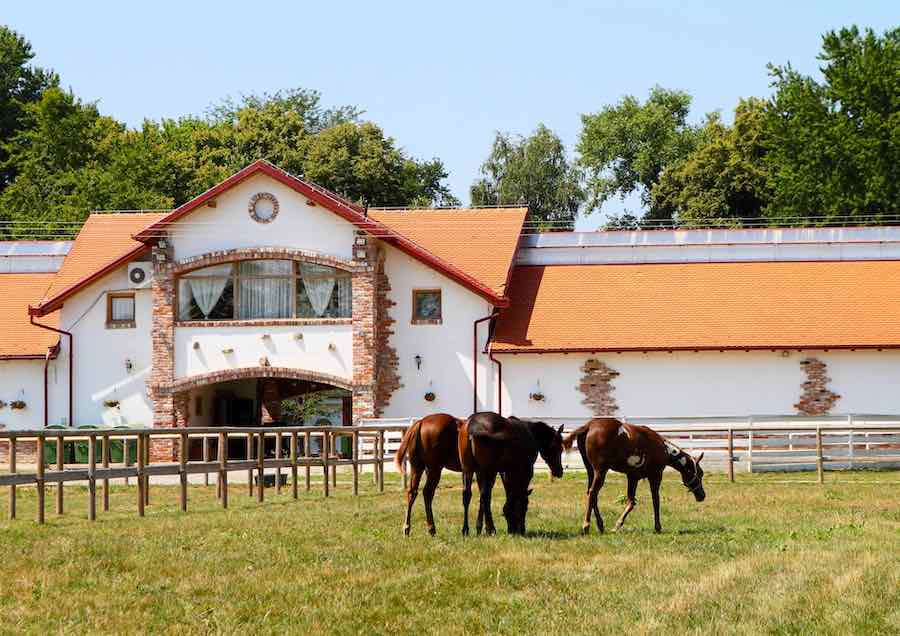 visnjica-hotel