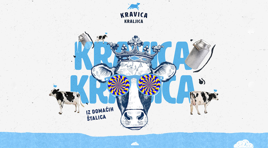 kravica-kraljica-g