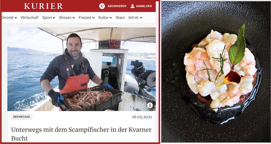 kurier-skampi-1