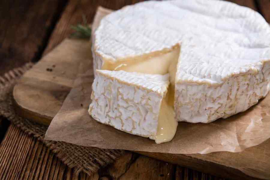 camembert