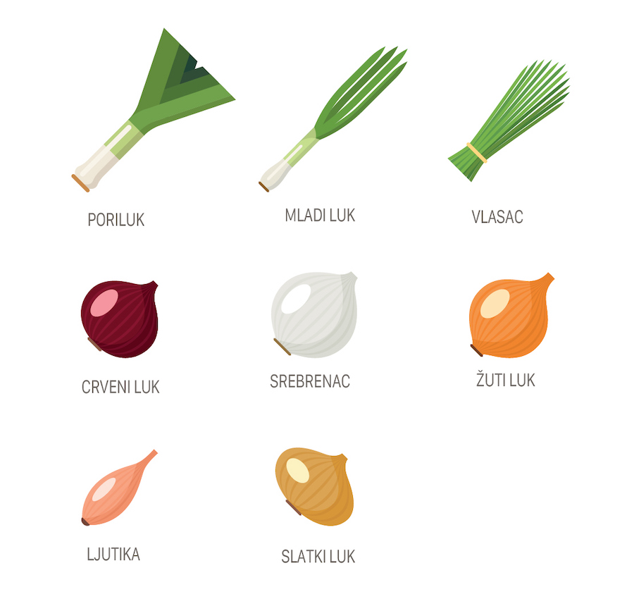 luk-infografika-1