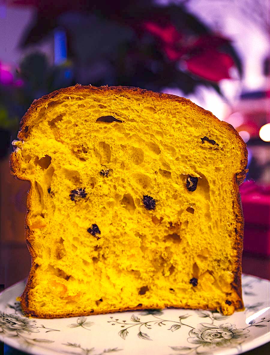 panettone-g