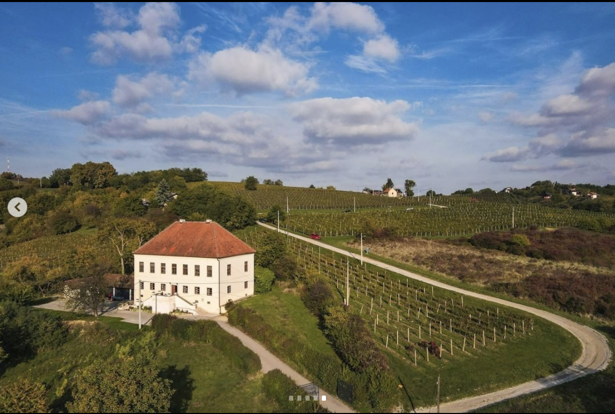 litterarii-dron