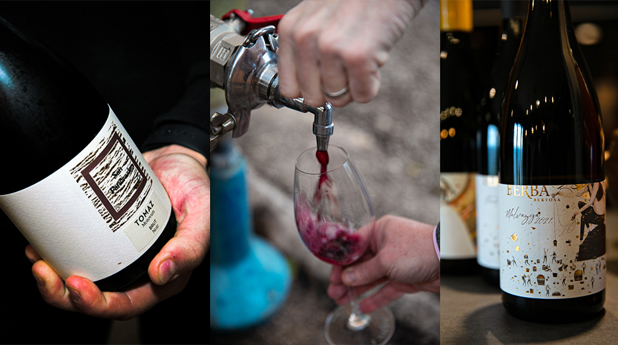 motovun-tasting-g