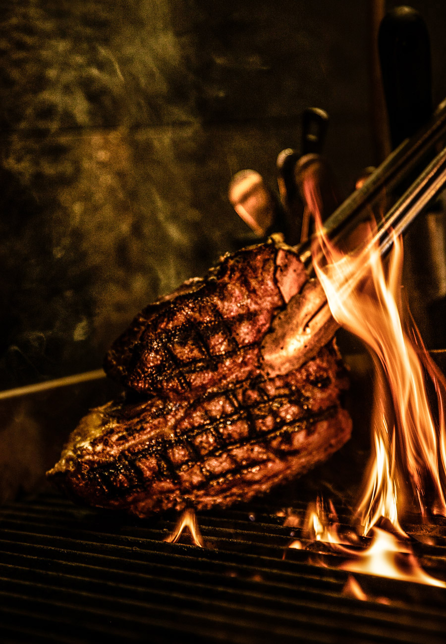 oxbo-t-bone-vatra-4