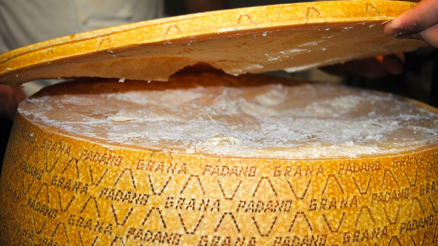 grana-padano