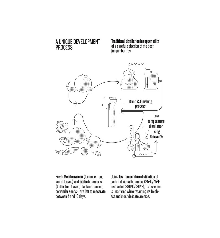 ginraw-infografika