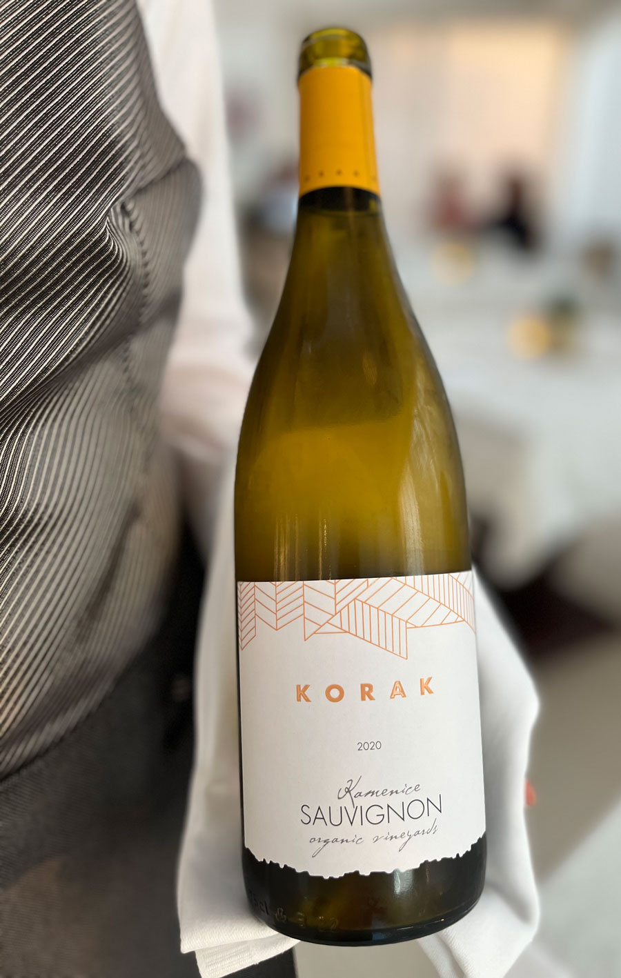 villa-rova-sauvignon-korak